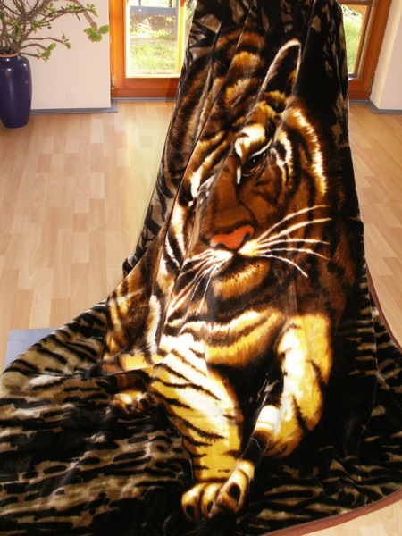 Plaid eBay Decke Wohndecke Kuscheldecke | 160x200cm Motiv Tiger Tagesdecke